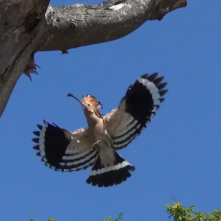 Oase By Interhome 펜션