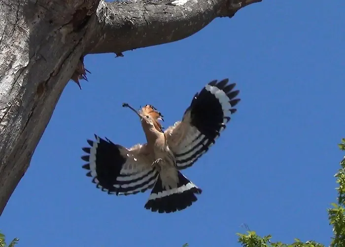 Oase By Interhome Σπίτι διακοπών